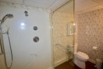 Lower level full bath with stand up shower